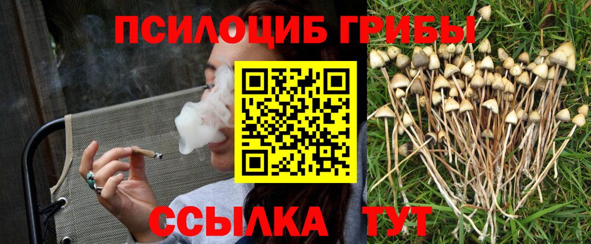 Похвистнево  Галлюциногенные грибы MAGIC MUSHROOMS  Псилоцибиновые грибы Magic Shrooms  Вход с VPN 