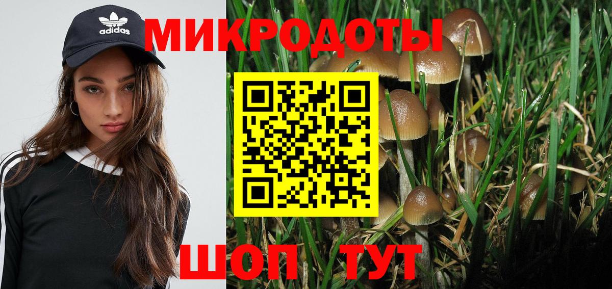 Псилоцибиновые грибы GOLDEN TEACHER Похвистнево