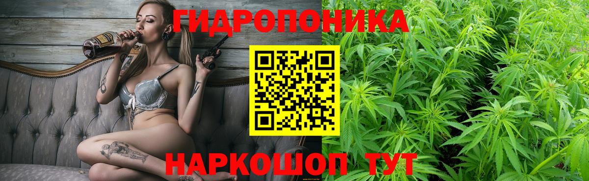 Бошки Шишки индика Похвистнево